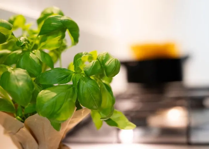 Luxury Center - Next To The Sea- Aria Condizionata - Free Parking Apartment *